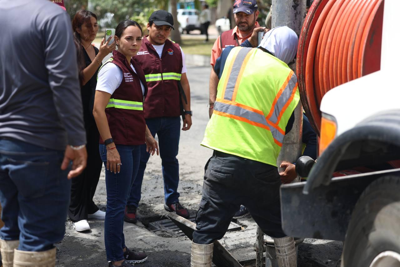 uploads/6/32/01 (1729).Jpeg